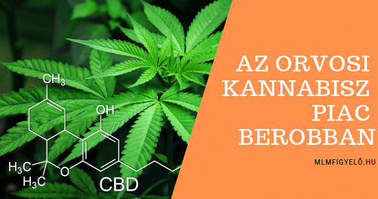 10 éven belül az Orvosi Kannabisz (CBD) termékek piaca átlépi a 100 milliárd dollárt