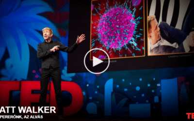 Matt Walker | Szupererőnk, az alvás