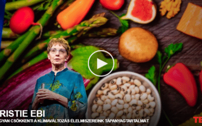 Kristie Ebi: Hogyan csökkenti a klímaváltozás élelmiszereink tápanyagtartalmát