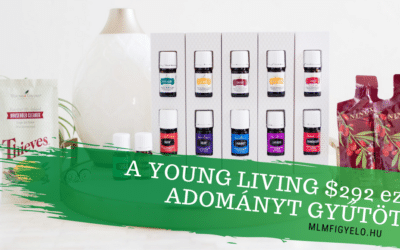 A Young Living 292 ezer dollár adományt gyűjtött az illóolajok napján