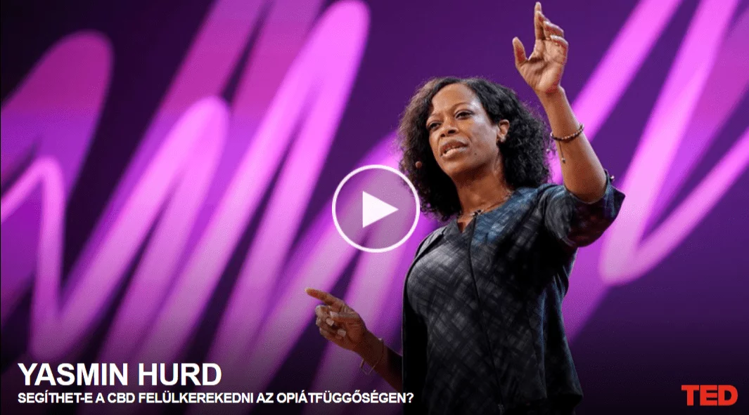 Yasmin Hurd: Segíthet-e a CBD felülkerekedni az opiátfüggőségen?