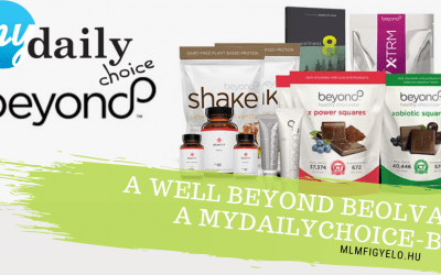 A Well Beyond beolvad a MyDailyChoice-ba
