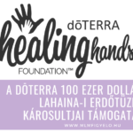 A dōTERRA 100 ezer dollárt gyűjt lahaina-i erdőtüzek károsultjai támogatására A dōTERRA 100 ezer dollárt gyűjt lahaina-i erdőtüzek károsultjai támogatására