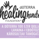 A dōTERRA 100 ezer dollárt gyűjt lahaina-i erdőtüzek károsultjai támogatására A dōTERRA 100 ezer dollárt gyűjt lahaina-i erdőtüzek károsultjai támogatására