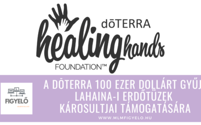 A dōTERRA 100 ezer dollárt gyűjt lahaina-i erdőtüzek károsultjai támogatására