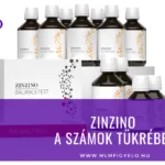 Zinzino a számok tükrében