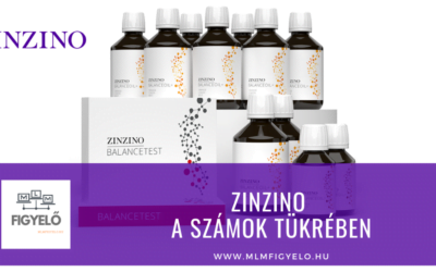 Zinzino a számok tükrében