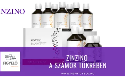 Zinzino a számok tükrében