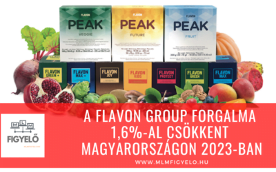 A Flavon Group forgalma 1,6%-al csökkent Magyarországon 2023-ban