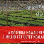A dōTERRA Hawaii Reserve 1 millió fát ültet Kealakekua-ba