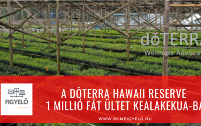 A dōTERRA Hawaii Reserve 1 millió fát ültet Kealakekua-ba
