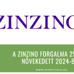 A Zinzino forgalma 25%-al növekedett 2024-ben A Zinzino forgalma 25-al növekedett 2024-ben