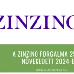 A Zinzino forgalma 25-al növekedett 2024-ben