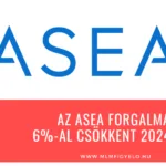 Az Asea forgalma 6-al csökkent 2024-ben