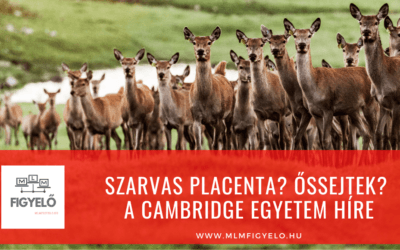 Szarvas Placenta? Őssejtek? A Cambridge Egyetem Híre