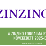 A Zinzino forgalma 51-al növekedett 2025-ben