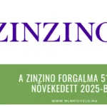 A Zinzino forgalma 51%-al növekedett 2025-ben A Zinzino forgalma 51-al növekedett 2025-ben